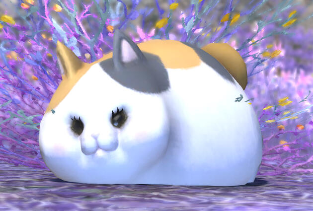 Dumplin' small
