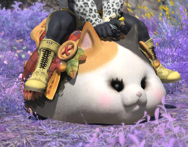 Dumplin' embiggen